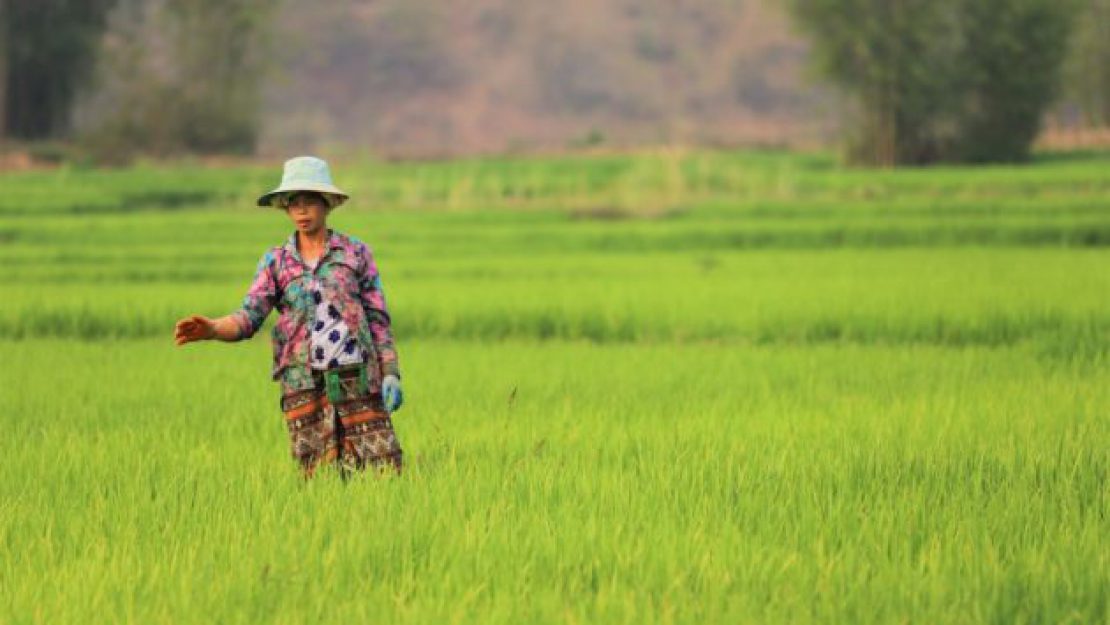 Hidden Tribes Of Kengtung